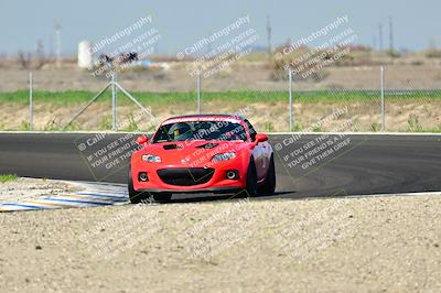 media/Mar-01-2025-Turn8 Trackdays (Sat) [[3bac13d0ad]]/Inter 3/Session 3 (Turns 10 and 11 Outside)/